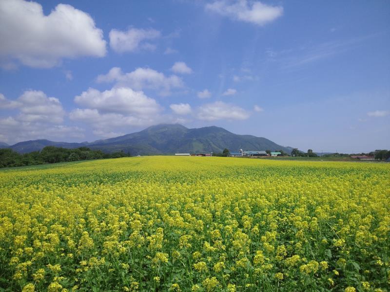 Karimpani Niseko Fujiyama Hostel Bagian luar foto